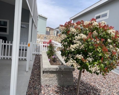 #117N Side with raised garden