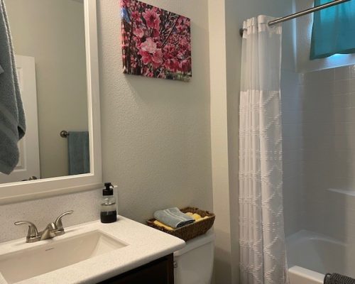 #66N Guest bathroom
